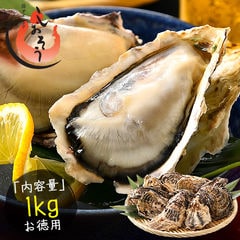 カキ 牡蠣 生食用 殻付き 1kg（8～10個前後）冷凍