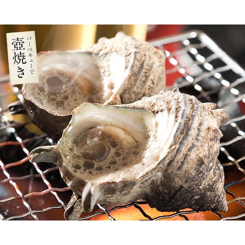 サザエ 楽天市場】『LINE新規登録で150円OFFクーポン』冷凍サザエ 600g（6~8個