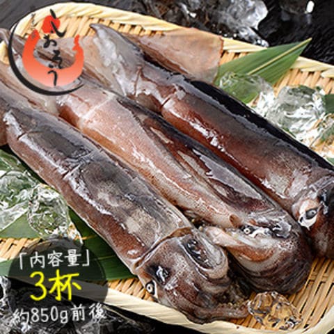 Dショッピング いか イカ 生 するめいか 3杯 約850g前後 日本海産 スルメイカ カテゴリ 魚介類 その他の販売できる商品 港ダイニングしおそう 143surumeika 3 ドコモの通販サイト