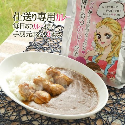 dショッピング |仕送りセット 食べ物 専用 常温 レトルト 手羽元