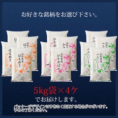 普通精米】 米 20kg はえぬき 5割入りブレンド米 山形県産＆国内産