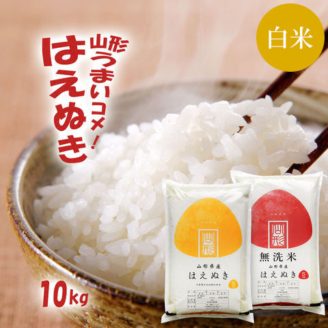米 10kg 送料無料 白米 無洗米 はえぬき 5kg×2 令和五年産 山形県産 10