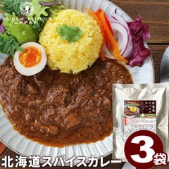 北海道スパイスカレー 160g×3袋 送料無料 グルテンフリー 中辛 ほぐし肉 レトルト