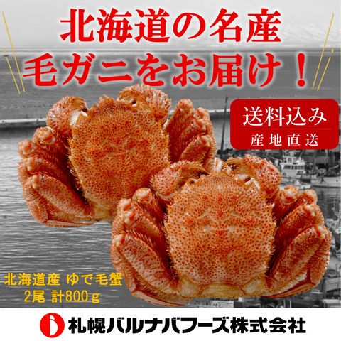 【産地直送】北海道産ゆで毛蟹 ２尾８００ｇ