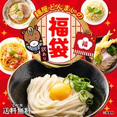 訳あり福袋セット 讃岐うどん 送料無料 （北海道・沖縄・離島+1500円）ご当地セット 産直 福袋 訳あり 簡易包装 詰め合わせ 食品 グルメ 食べ物 プレゼント ギフト ギフトセット お歳暮 御歳暮 歳暮 女性 フードロス SDGs