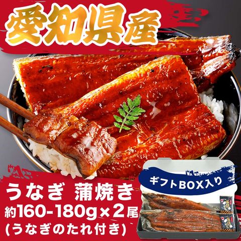 うなぎ 蒲焼き 大サイズ (160-180g×2尾)【 お中元 残暑見舞い 指定日無料 】愛知県産 うなぎ専門店小林商店 タレ付 備長炭 本格炭火焼き 贈答品  ギフト お中元 お歳暮  父の日 お祝い 土用丑の日 国産 ウナギ 蒲焼き 鰻  蒲焼 送料無料