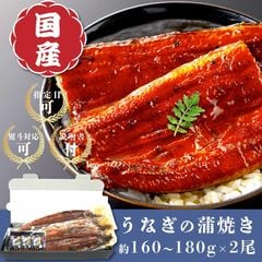 うなぎ 蒲焼き 大サイズ (160-180g×2尾)