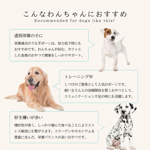 Dショッピング 普通郵便 獣医師監修 うなぎボーン 100g 国産 無添加 無着色 犬用 ペットおやつ 犬用おやつ ペット おやつ チャック付き袋 犬用 猫用 犬 猫 国産 低カロリー うなぎ 鰻 骨 魚 おやつ 高タンパク 高たんぱく 低脂質ペットおやつ 100g 50g 2袋