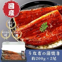 うなぎ 蒲焼き 大サイズ (160-180g×2尾)【 指定日 - dショッピング