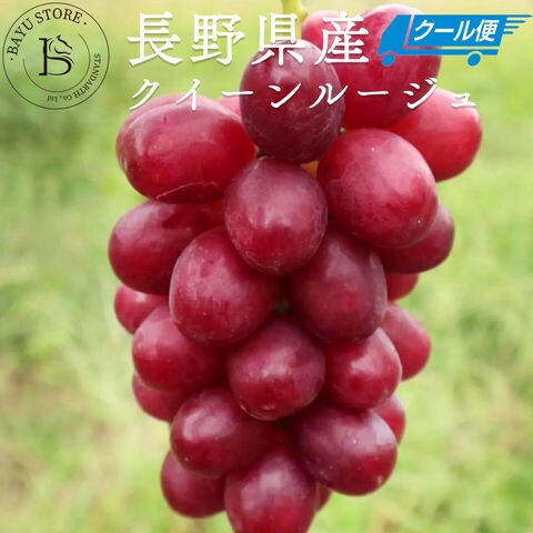 長野県産 ぶどう クイーンルージュ 約1.5kg クール便配送 | www.darquer.fr