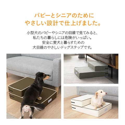 dショッピング |ドッグステップ ロー 低め 犬用 ダックス ステップ