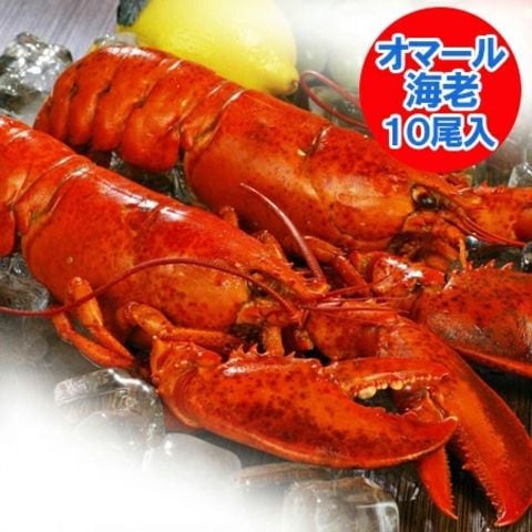 dショッピング |オマール海老 送料無料 オマールエビ ボイル 10尾(1尾