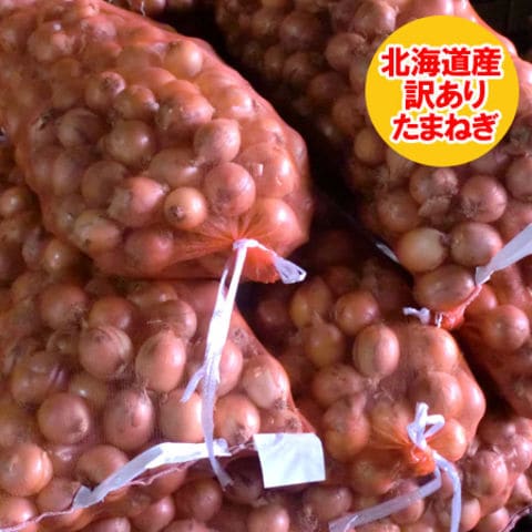 北海道 訳あり 玉ねぎ 送料無料 たまねぎ タマネギ 玉葱 10kg ( 10キロ ) Sサイズ たまねぎ わけあり 玉ねぎ 野菜 たまねぎ 生鮮食品