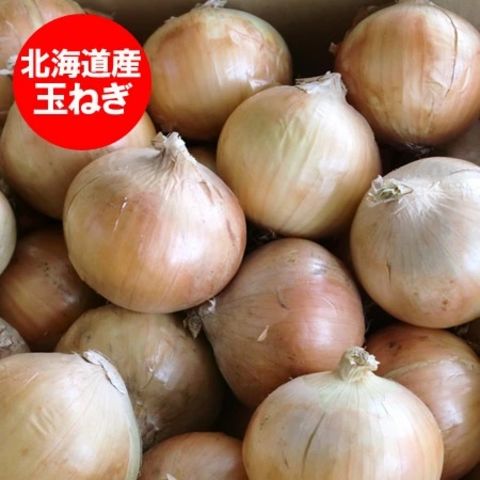 北海道 玉ねぎ 5kg 送料無料 北海道産 玉葱 5kg Lサイズ 共撰 野菜 たまねぎ / タマネギ