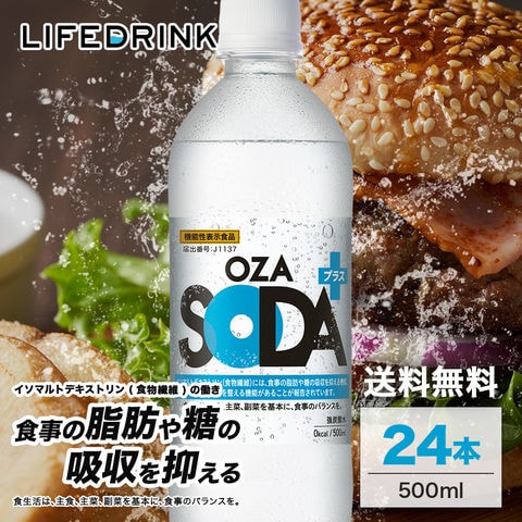 ライフエッセンス 500ml 2本入 ライフエッセンス 500ml 2本セット ライフエッセンス 500ml 2本