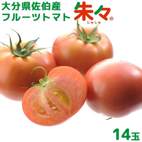 dショッピング |大分県佐伯産 高糖度 塩熟 フルーツトマト朱々 14玉(約1kg) 糖度8度以上 JGAP認証農場 ハウス 低段密植栽培  サニープレイスファーム【送料込】 | カテゴリ：野菜の販売できる商品 | おんせん県おおいたオンラインショップ  (207J0000000905012)|ドコモの ...