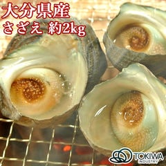 大分の海の幸 さざえ 約2kg 大分県産 黒潮海産 トキハインダストリー【送料込】