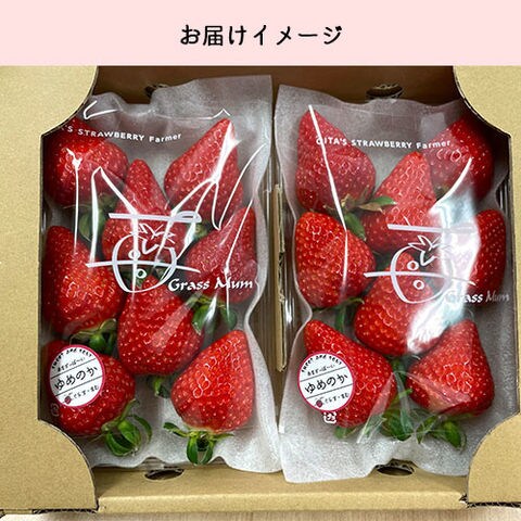 dショッピング |栽培期間中の化学農薬原則不使用 大分県産いちご 品種