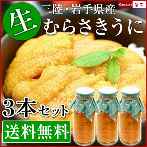 dショッピング |生うに 瓶詰め【 三陸 岩手県産 無添加 生ウニ 牛乳