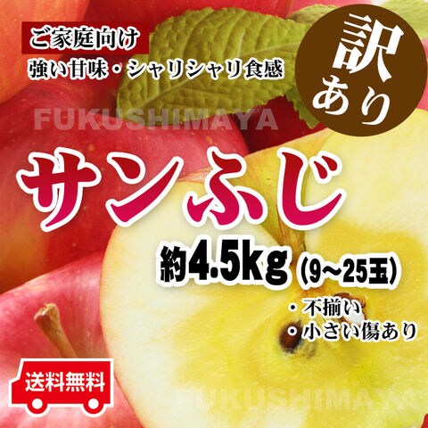 福島県産 ご家庭用 訳あり サンふじ りんご 約4.5kg箱 （9～25玉入） ※出荷時期の異なるフルーツとの同時注文はできません。