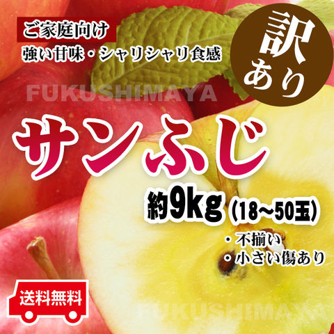 福島県産 サンふじ りんご 約9kg箱