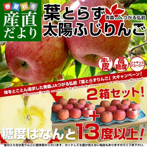 青森県より産地直送 葉とらず太陽ふじりんご