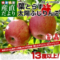 青森県から産地直送 JAつがる弘前 葉とらず太陽ふじりんご 3キロ(8玉から13玉) 糖度13度以上 林檎 リンゴ 送料無料