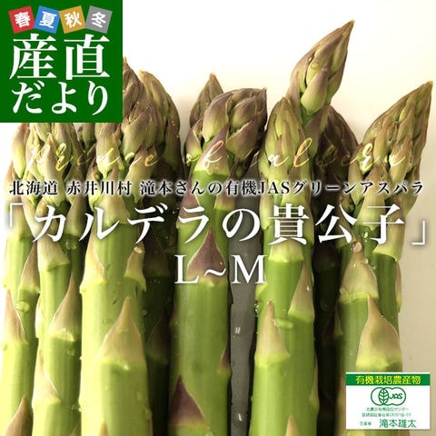 北海道より産地直送 赤井川村滝本農場の有機JASグリーンアスパラ「カルデラの貴公子」 LからMサイズ 約500g入り 送料無料 アスパラガス ※クール便発送