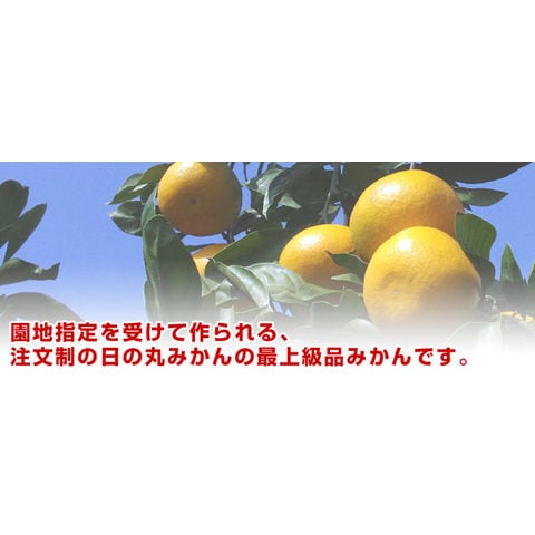 Dショッピング 愛媛県より産地直送 Jaにしうわ 日の丸プレミアムみかん ゴールド千両 豪琉頭千両 Mからsサイズ 約3キロ 30玉から36玉 11月28日から12月10日 日付指定不可 送料無料 蜜柑 ミカン 御歳暮 お歳暮 ギフト カテゴリ 果物の販売できる商品 産直だ