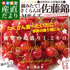 dショッピング | 『さくらんぼ』で絞り込んだ通販できる商品一覧