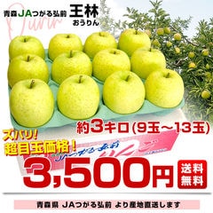 青森県より産地直送 JAつがる弘前 「王林」 約3キロ (9玉から13玉