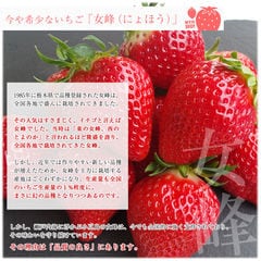 香川県より産地直送 女峰いちご DXタイプ 460g (230g×2P：6粒から14粒