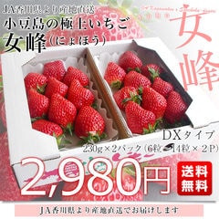 香川県より産地直送 女峰いちご DXタイプ 460g (230g×2P：6粒から14粒