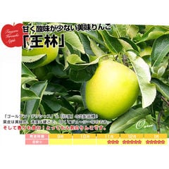 青森県より産地直送 JAつがる弘前 「王林」 約3キロ (9玉から13玉