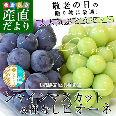 【敬老の日ギフト】山梨県又は長野県産 シャインマスカット(約500g)＆種なしピオーネ(約450g) 極上・秀品 各1房入り 合計950g以上 送料無料 ブドウ ぶどう 葡萄 メッセージカード付き クール便