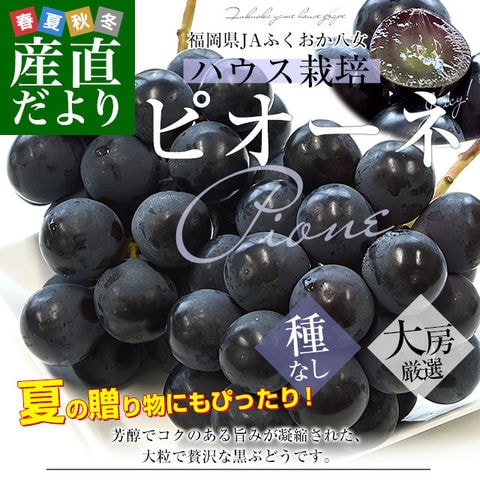 福岡県産 種無しピオーネ 約4〜5房入×2箱セット | www