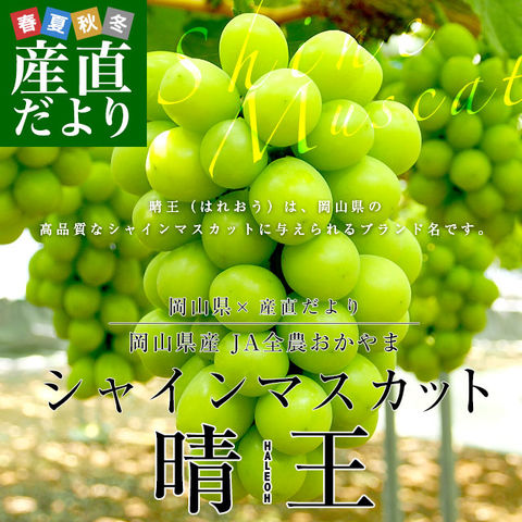 岡山県産 JA晴れの国岡山 びほくエリア シャインマスカット 晴王 青秀品 約1.2キロ(600g×2房) 葡萄 ぶどう ブドウ 送料無料 クール便