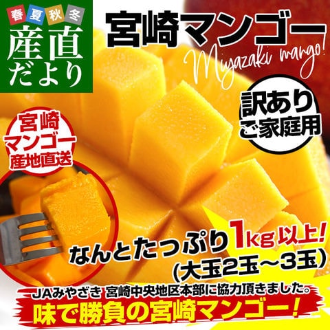 宮崎県より産地直送 JAみやざき宮崎中央地区本部 訳あり宮崎マンゴー 1キロ以上 (2玉から3玉) 送料無料