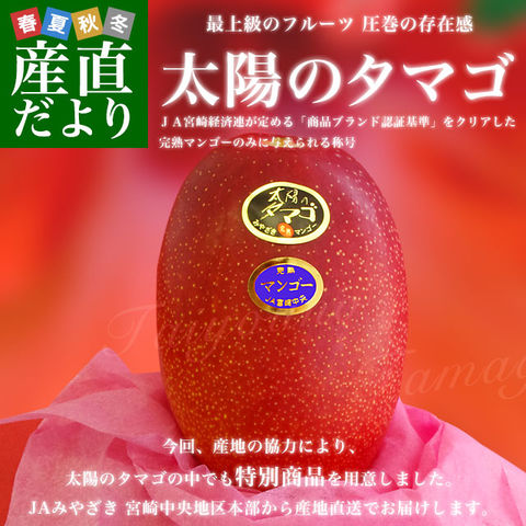 宮崎県直送 完熟マンゴー 太陽のタマゴ２L×2玉
