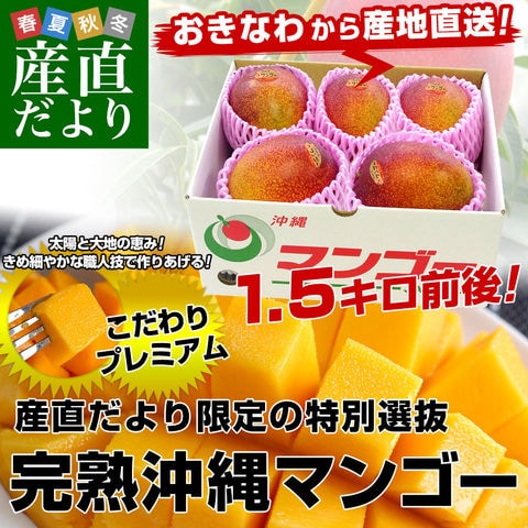 沖縄県より産地直送 JAおきなわ 完熟沖縄マンゴー 約1.5キロ (3玉から6玉入) 送料無料 まんごー アップルマンゴー  お中元  ギフト