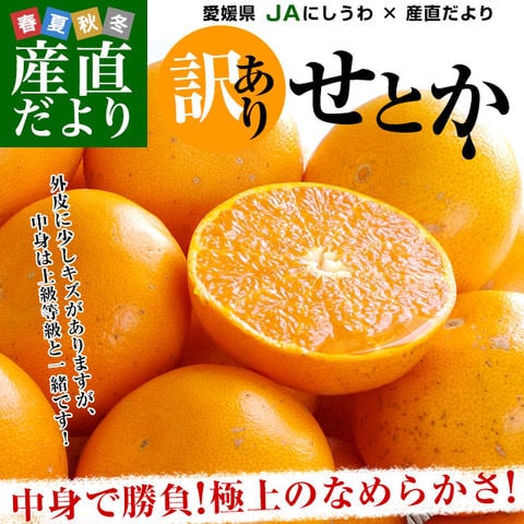 【決算特別価格！】 愛媛県産 JAにしうわ 訳ありせとか 5キロ 3LからMサイズ（16玉から30玉前後） 送料無料 市場スポット セトカ 西宇和