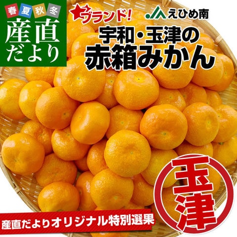 愛媛県より産地直送 JAえひめ南 玉津共選場 玉津の赤箱みかん 小玉 Sから２Sサイズ  5キロ  送料無料  蜜柑 みかん