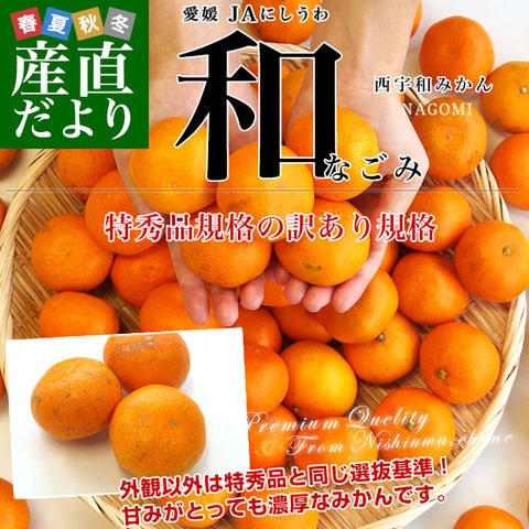 愛媛県より産地直送 JAにしうわ みなの共選 西宇和みかん 和 (なごみ) SからSSサイズ 5キロ(60玉から80玉前後) 送料無料 蜜柑 ミカン