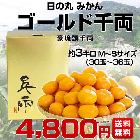 Dショッピング 愛媛県より産地直送 Jaにしうわ 日の丸プレミアムみかん ゴールド千両 豪琉頭千両 Mからsサイズ 約3キロ 30玉から36玉 11月28日から12月10日 日付指定不可 送料無料 蜜柑 ミカン 御歳暮 お歳暮 ギフト カテゴリ 果物の販売できる商品 産直だ