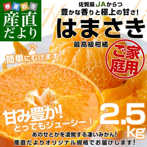 【2026年発送】佐賀県産 JAからつ はまさき ご家庭用 ちょっと訳あり LからMサイズ 約2.5キロ (12玉から16玉前後) 送料無料 唐津 浜崎
