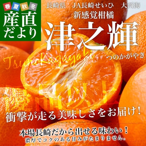 長崎県より産地直送 JA長崎せいひ 津之輝(つのかがやき) 3LからLサイズ 優品以上 2.5キロ (10玉から25玉) 送料無料 柑橘 オレンジ 津の輝