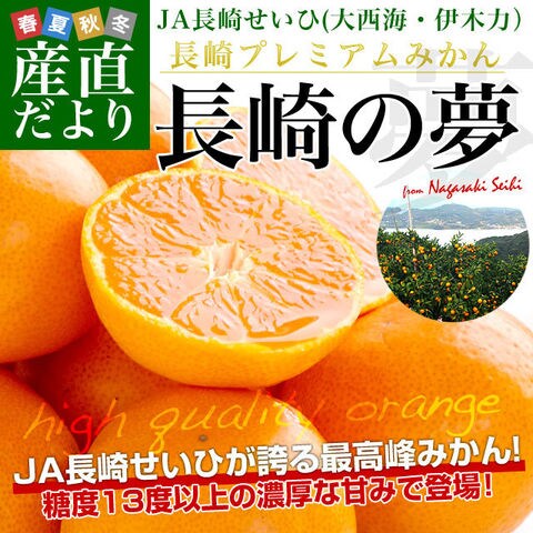 Dショッピング 長崎県より産地直送 Ja長崎せいひ プレミアムみかん 長崎の夢 約2 5キロ 24玉から30玉前後 ご購入後3日から12日で発送 日付指定不可 送料無料 蜜柑 みかん お歳暮 御歳暮 ギフト カテゴリ 果物の販売できる商品 産直だより