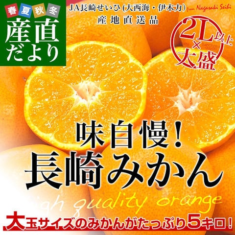 長崎県より産地直送 JA長崎せいひ 長崎みかん ２L以上の大玉 5キロ（20玉から35玉前後） 蜜柑 ミカン　送料無料