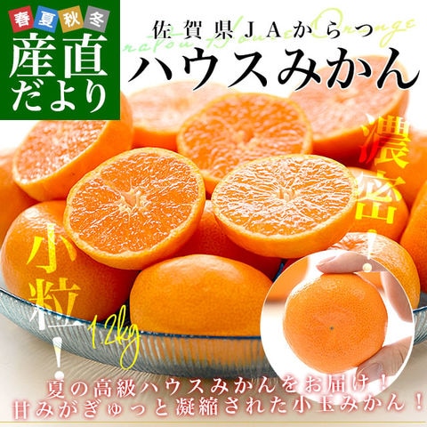 佐賀県産　JAからつ　ハウスみかん　３Ｓサイズ 　約1.2キロ（約30玉）送料無料　蜜柑　ミカン