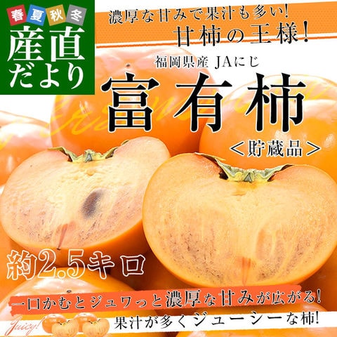 福岡県 JAにじ 富有柿 貯蔵品 秀品 約2.5キロ 2Lサイズ（9玉） 送料無料 かき カキ 甘柿